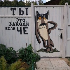 Шамиль Тимирханов, 08.08.1988