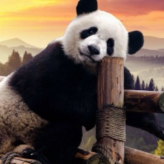 Евгений Калныш, 12.01.1977, Омск