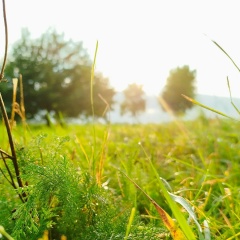 Мария Костина