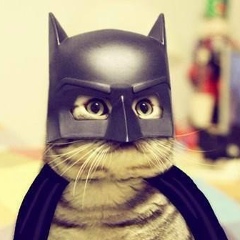 Диман Сизый, 09.11, Москва