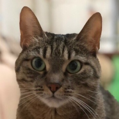 痛み 裏切り, 20.11.1901