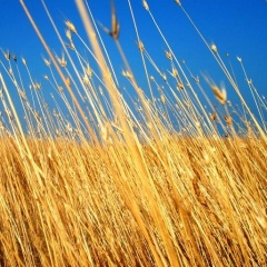 Vova Prokopov, 31.05.1985, Одесса