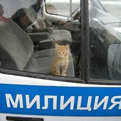 Андрей Пахмутов, 12.01.1980, Санкт-Петербург