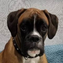 Костик Жарков, 24.06.1983, Калининград