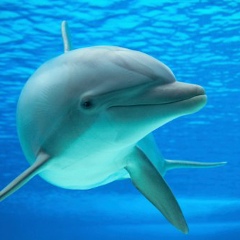 Тамара Малкова, 17.05.1991, Алматы