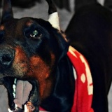 Александр Шилин, 26.02.1993, Москва