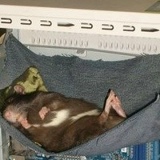 Леонид Яковлев, 01.06.1972, Санкт-Петербург