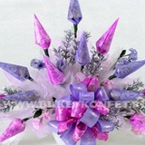 Елена Малышева, Санкт-Петербург