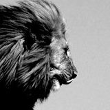 Алег Билёвский, 13.08, Киев