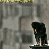 Виктор Толмачёв, 30.11, Новотроицк