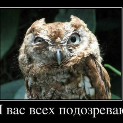 Alex Zyk, 23.05, Киров