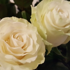 Елена Анисова, 11.02, Москва