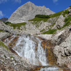 Алёна 