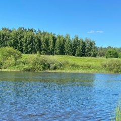 Алёна Баталова, Санкт-Петербург