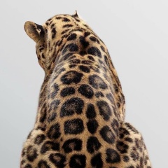 Рустам Алиев, 15.08.1990, Махачкала