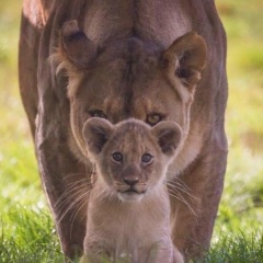 Ирина Шлык, 25.12, Санкт-Петербург