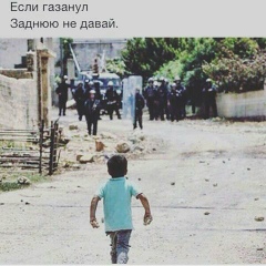 Катархо Цечёй