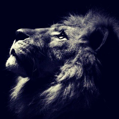 Малик Суалиров, 23.08.1988