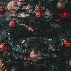 Николай Николаевич