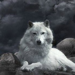 Евгений Арсентьев, 12.03.1978, Санкт-Петербург