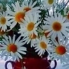 Нина Васильевна, Тольятти