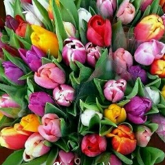 Sholpan Shaldanbaeva, 04.07.1982