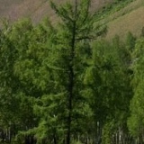 Антон Шаталов, 07.02, Новомосковск