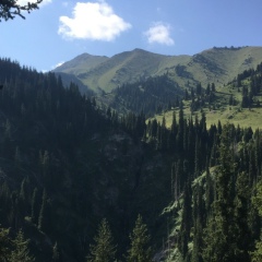 Абылай Сейтбек, Алматы