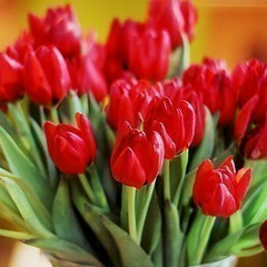 Динара Тапина, 19.02.1982, Караганда