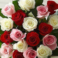 Балауса Шектибаева, 25.01, Кызылорда