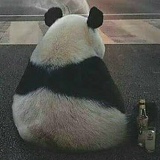 Егор Сергеев, 05.03.1991, Камышин