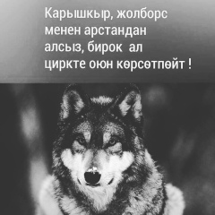 Кенжегул Пазылбек-Кызы, 21.02.1997, Джалал-Абад