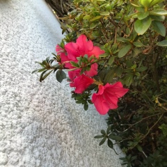 Елена Голышева, 22.02.1984