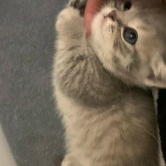 Caterina G, 02.11, Milano