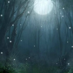 Степан Максимович, 05.01.2002, Москва