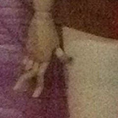 Lucie Manyan, Москва