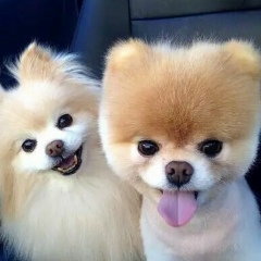 Гулдана Нурекеева, 29.12, Алматы