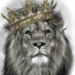 Абдурашид Махачев, 02.02.1989, Москва