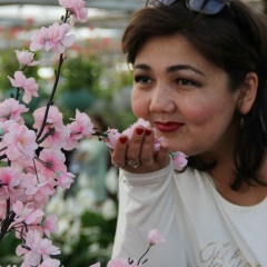 Зулфия Махамбетова, Ташкент