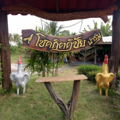 โชคกิตติชัย ฟาร์ม, 03.06.1985, Nakhon Ratchasima