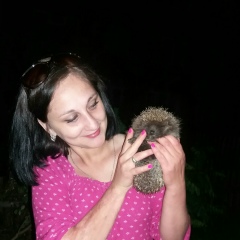 Сюзі Манюня, 11.03