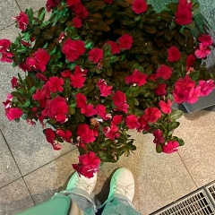Мадина Утепбергенова, 15.10, Атырау