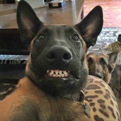 Сергей Котов, 20.03.1965, Москва