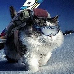 Сила Селассия, 26.05