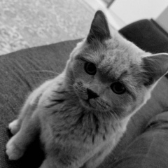 Рустем Антайбеков, 02.12.1994, Астана