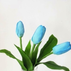 Гульмира Бекбулова, 15.03, Алматы