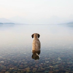 Стас Куклин, Волгоград