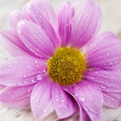 Даша Юканкина, 31.05.1986