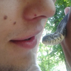 Влад Задорожний, 28.02, Кривой Рог