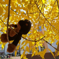 Анастасия Владимировна